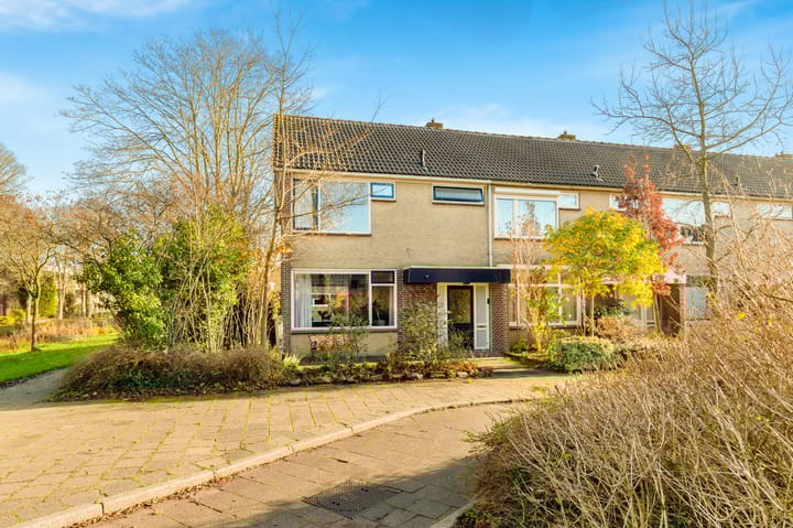 Foto 44 van Termijen 28