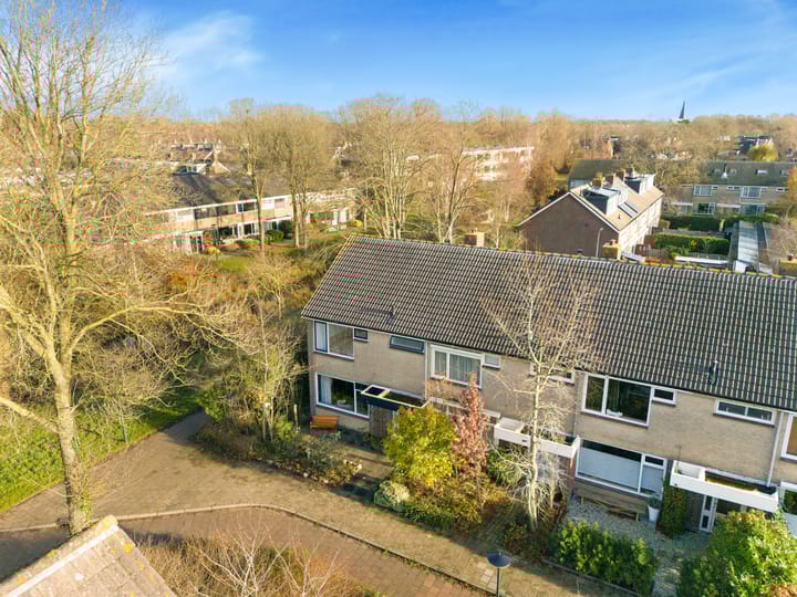 Foto 45 van Termijen 28