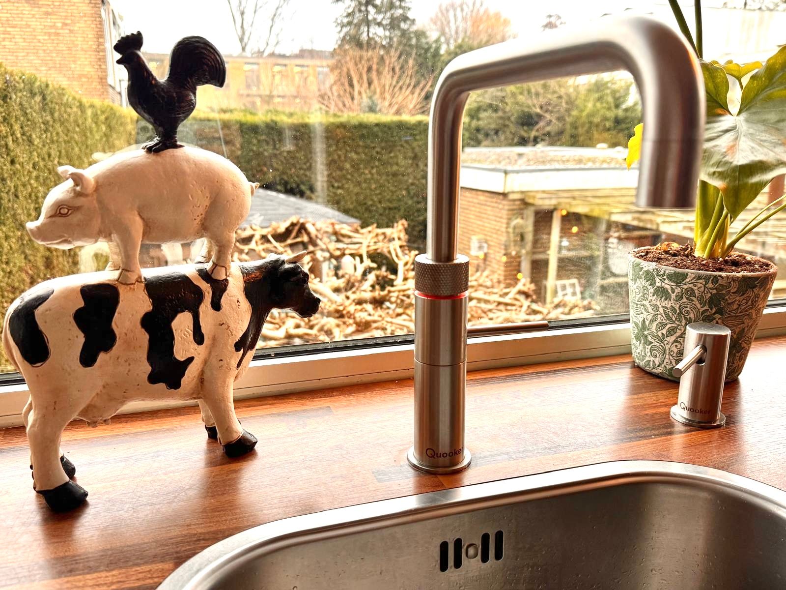 Foto 27 van Saffierhorst 33