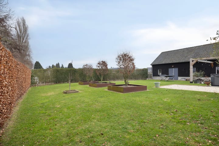 Foto 52 van Spoorpad 6