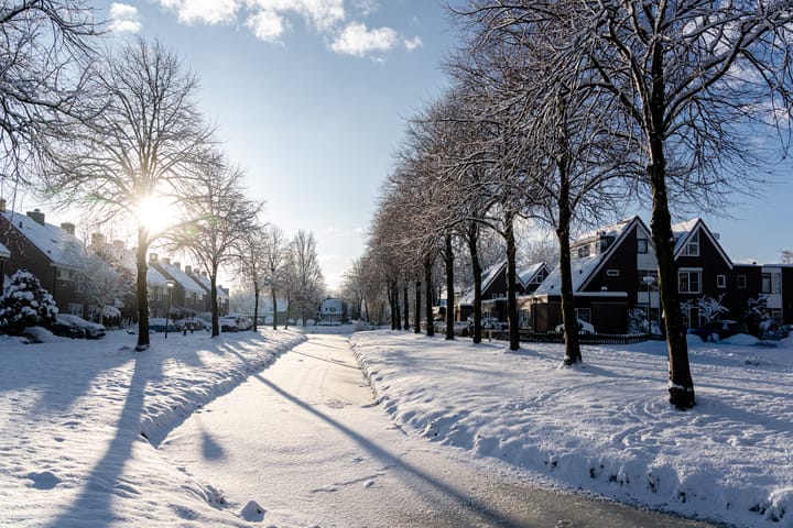 Photo 40 of Vogelwikkeveld 16