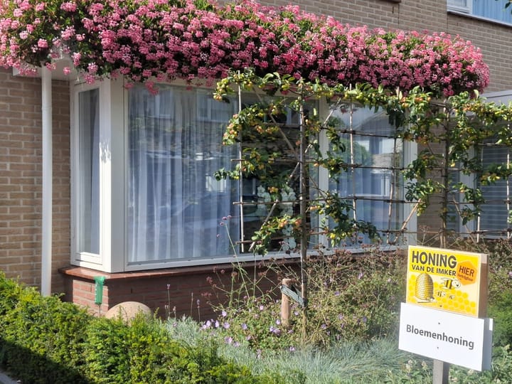 Foto 31 van Graaf van Bentheimlaan 14