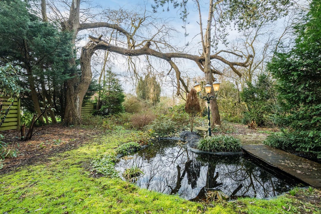 Foto 56 van Pastoor Konijnstraat 38