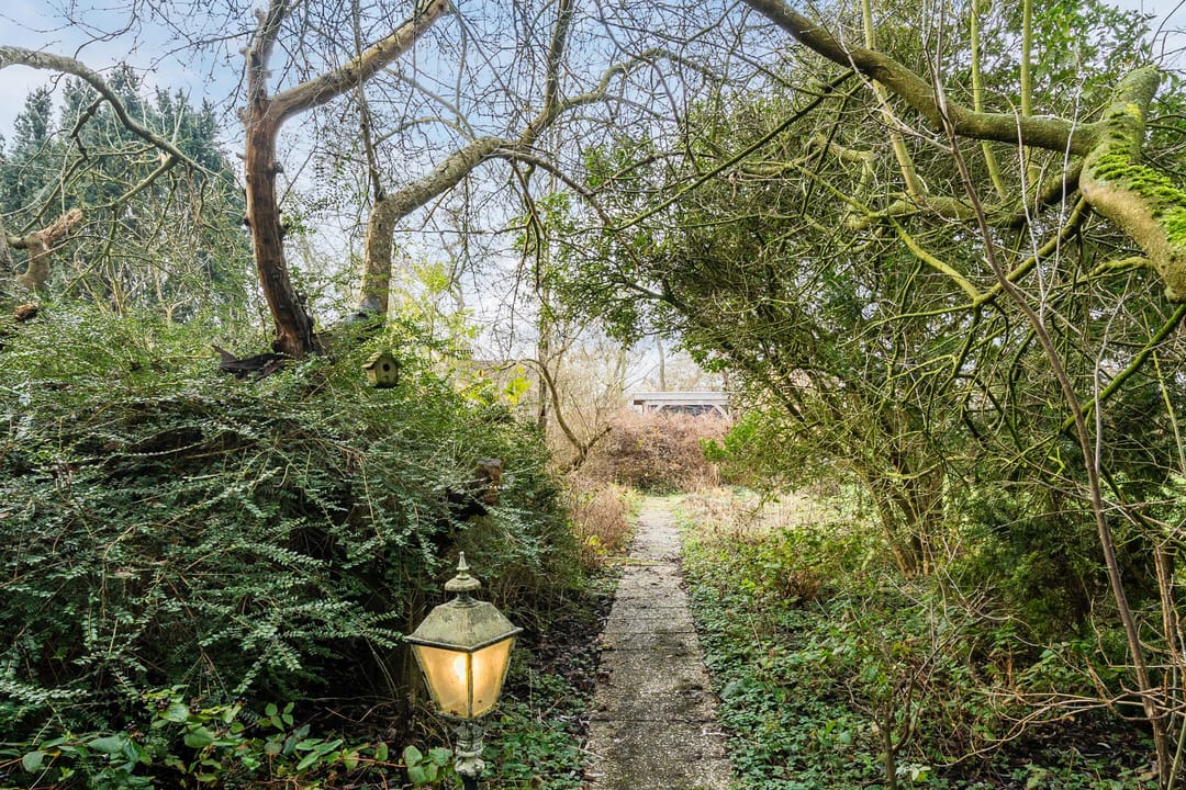 Foto 61 van Pastoor Konijnstraat 38