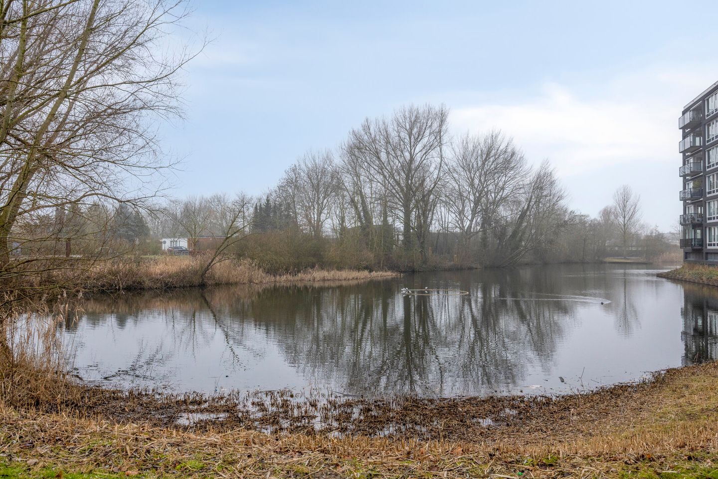 Foto 50 van Johan Enthovenstraat 32