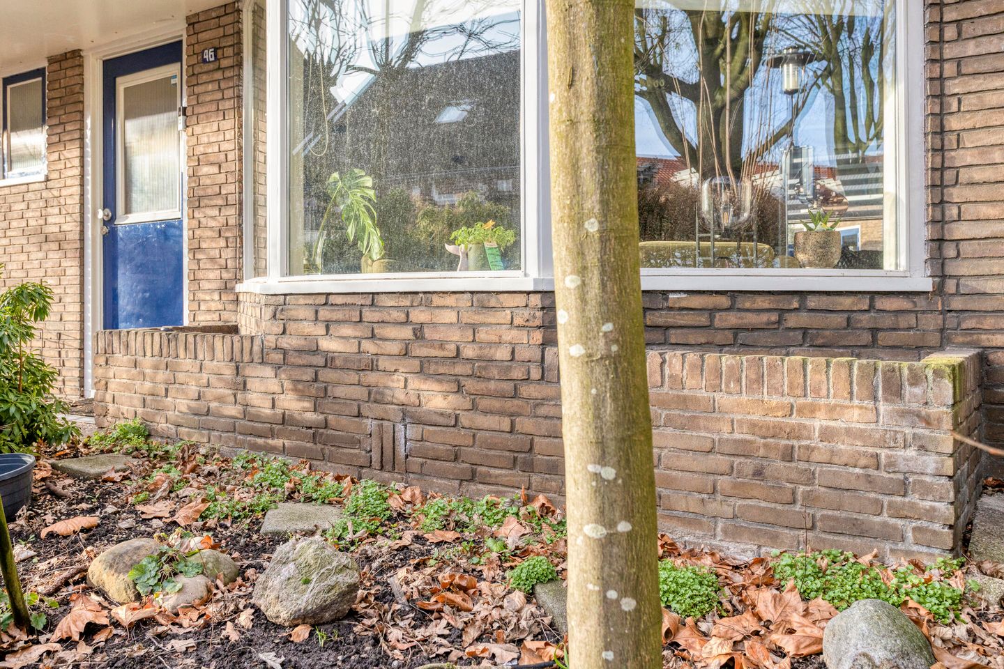 Photo 10 of Loweg 46