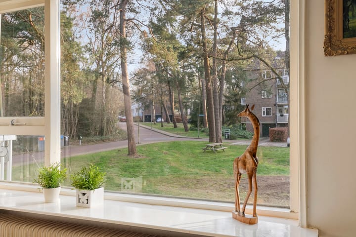 Foto 6 van Kappeyne van de Coppellolaan 54-A