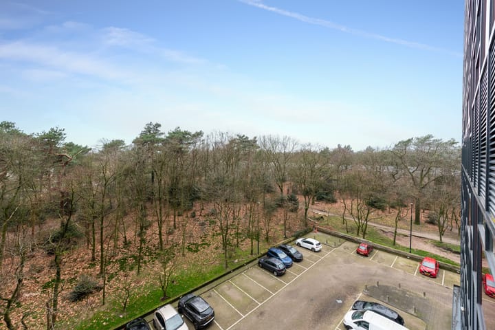 Photo 36 of Laan van Vollenhove 256