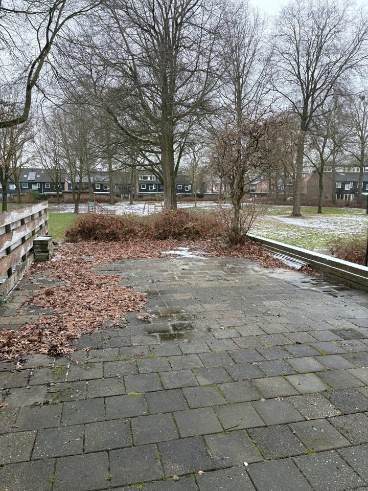 Foto 19 van Ruinerbrink 77