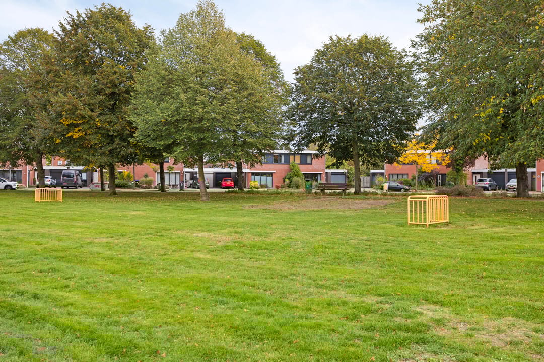 Foto 41 van Gelaarsde Kat 43