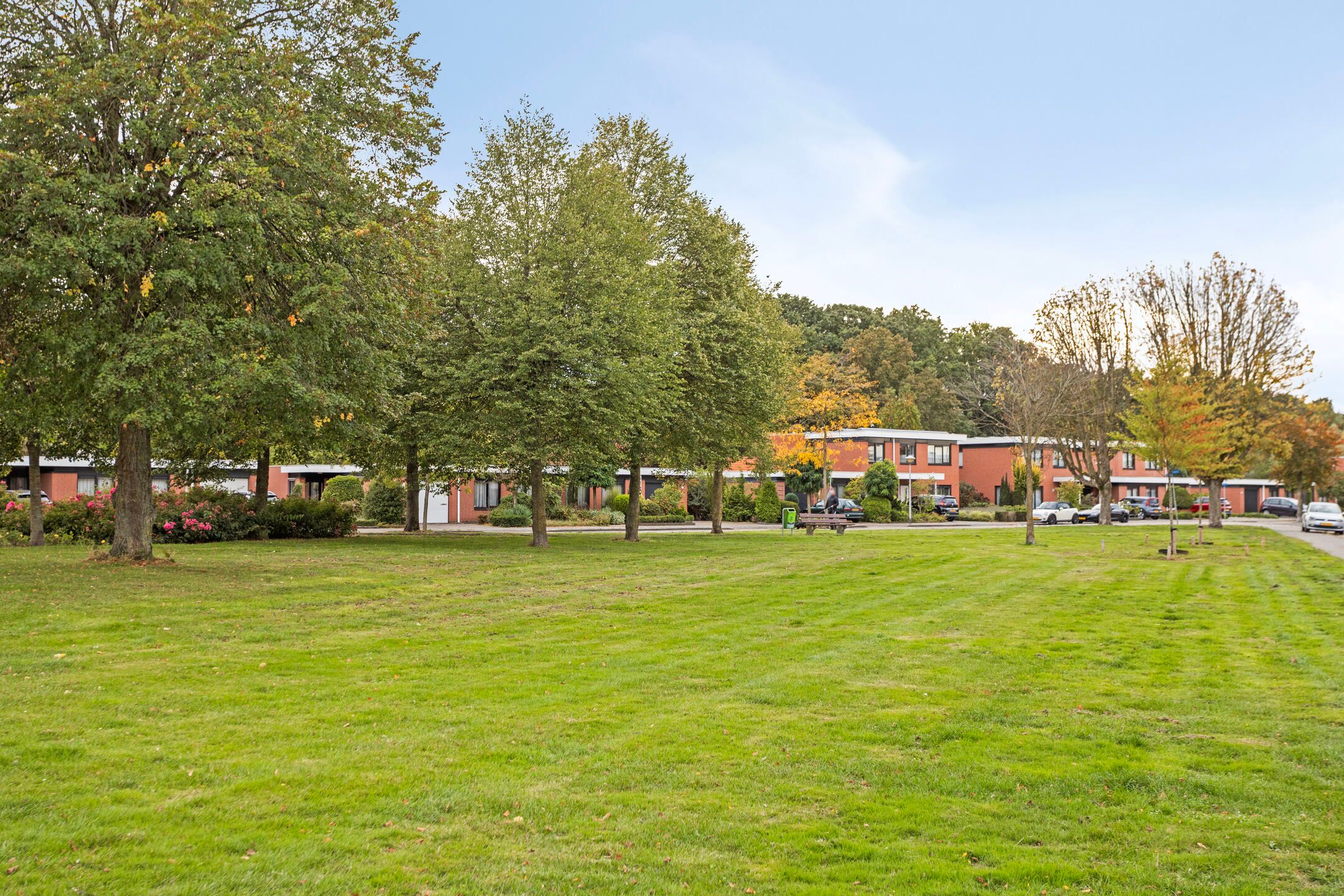 Foto 42 van Gelaarsde Kat 43