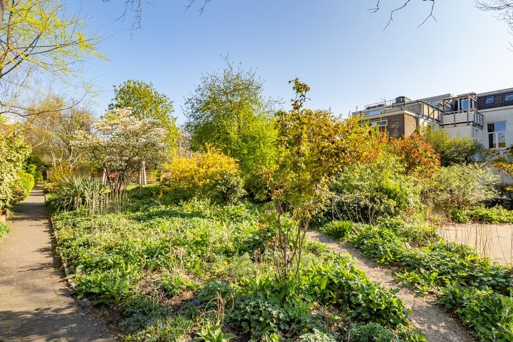 Photo 36 of Otterstraat 41