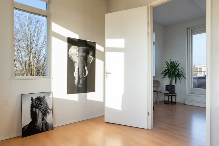 Foto 31 van Zuidwoldigerweg 65