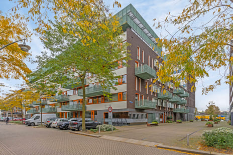 undefined main image