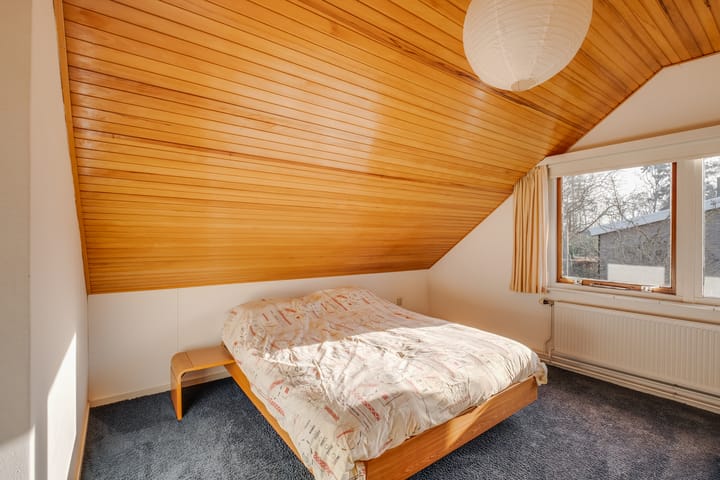 Foto 20 van Douglaslaan 17