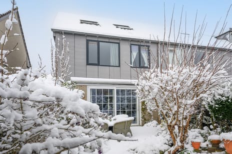 Hartekruidpad 11 tertiary image