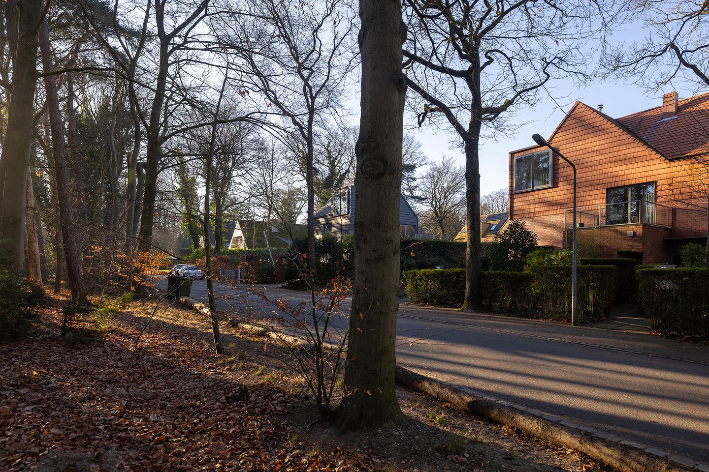 Foto 49 van Witte Kruislaan 37