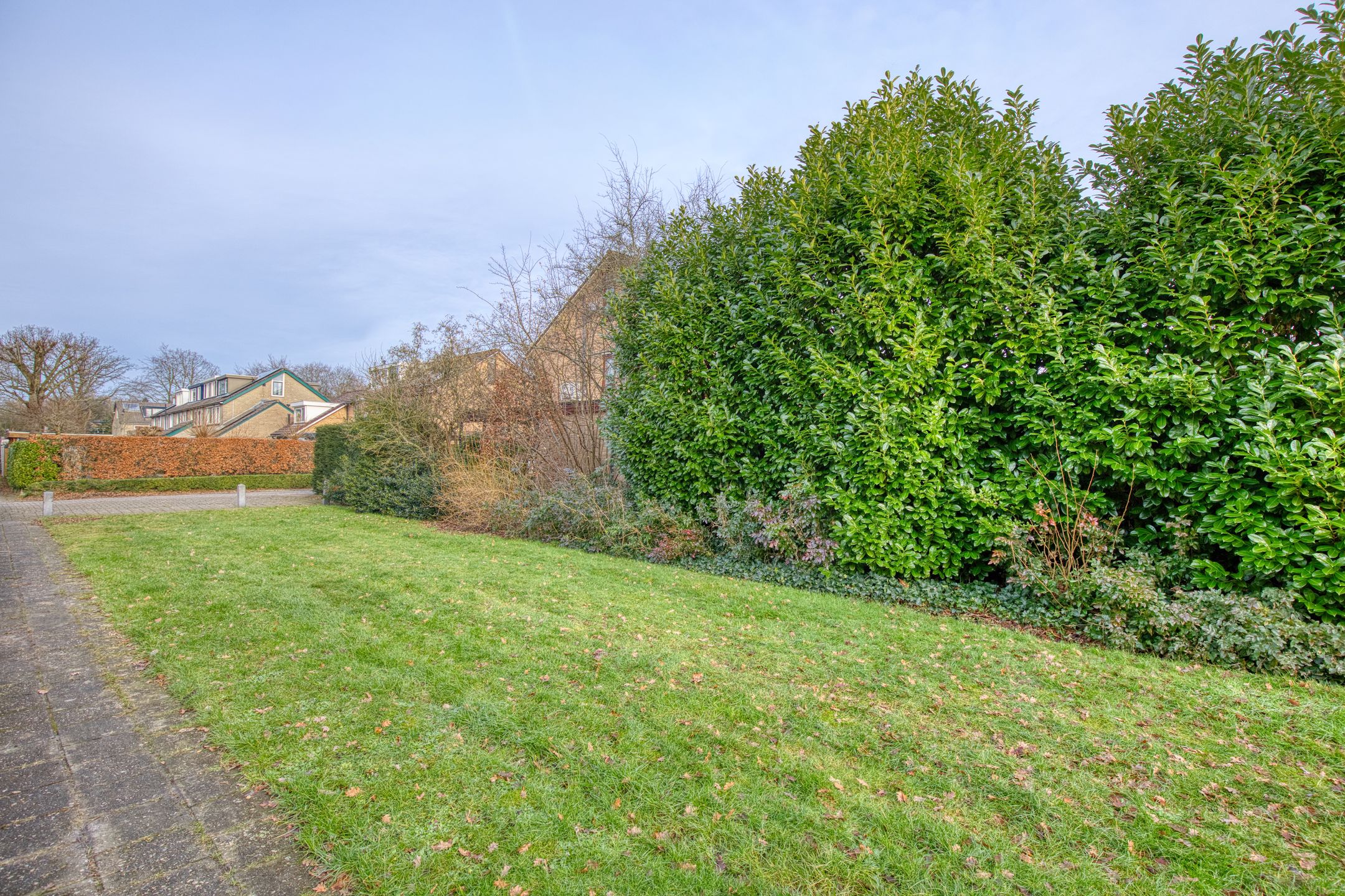 Foto 21 van Lippe-Biesterfeldstraat 10