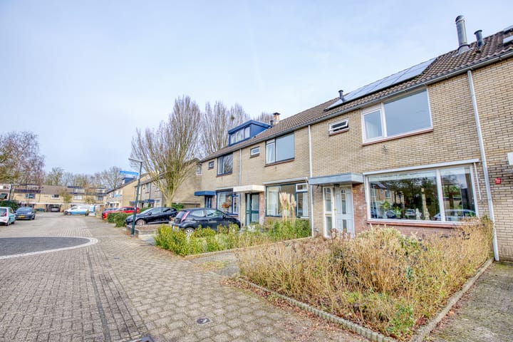 Foto 23 van Lippe-Biesterfeldstraat 10