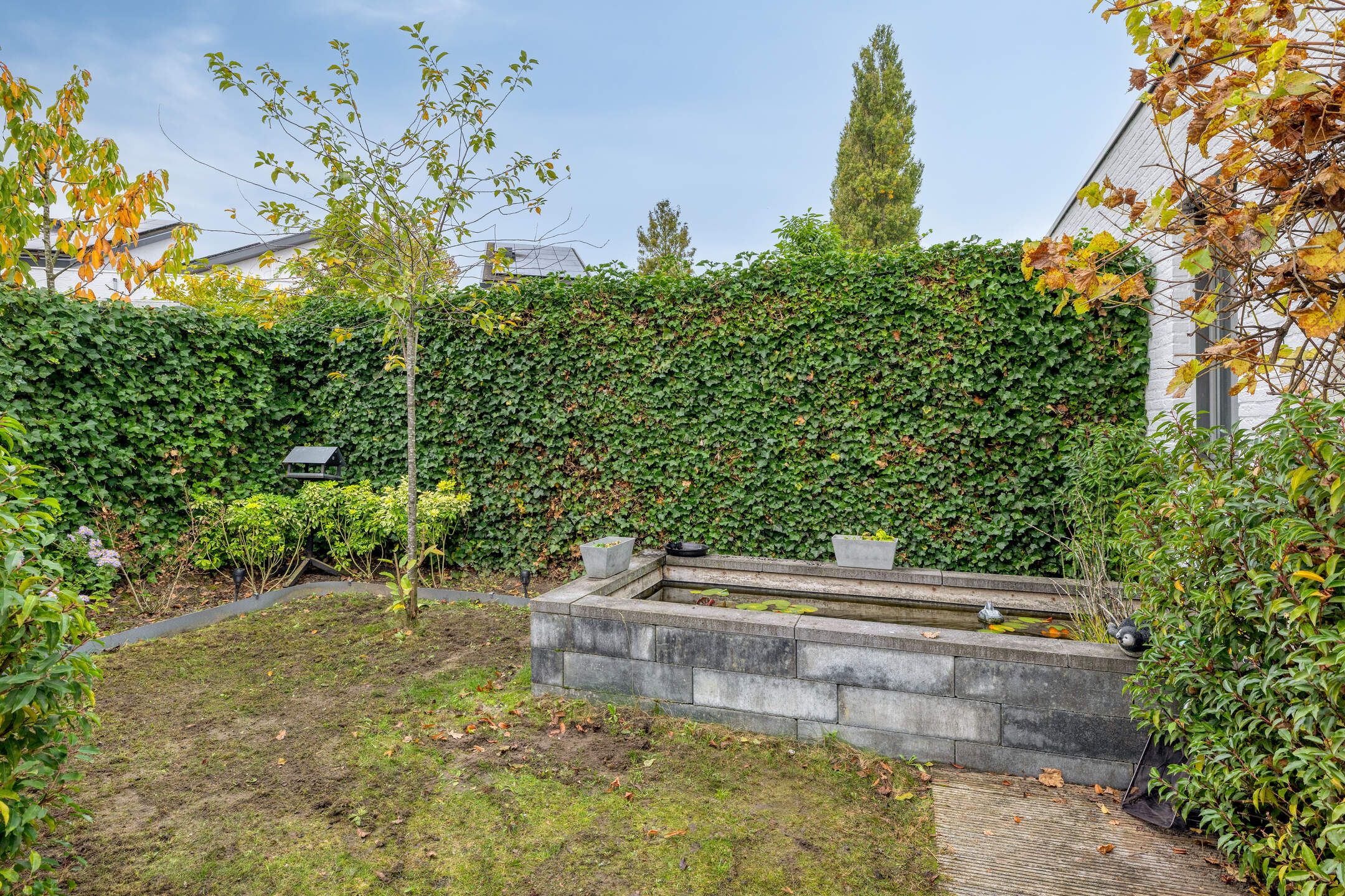 Photo 39 of Verschuurstraat 12