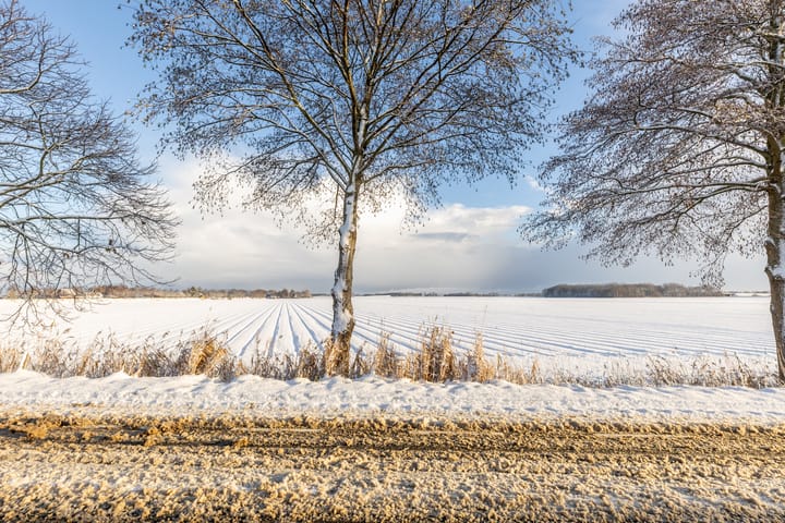 Foto 51 van Oude Heijningsedijk 257