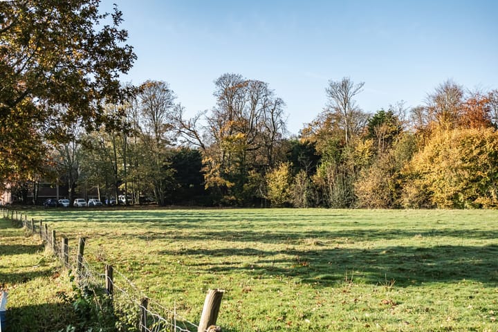 Foto 50 van Teding van Berkhoutlaan 41