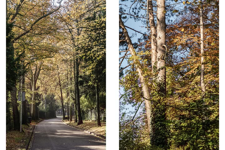 Foto 51 van Teding van Berkhoutlaan 41