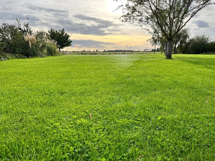 Foto 79 van Homoetsestraat 33