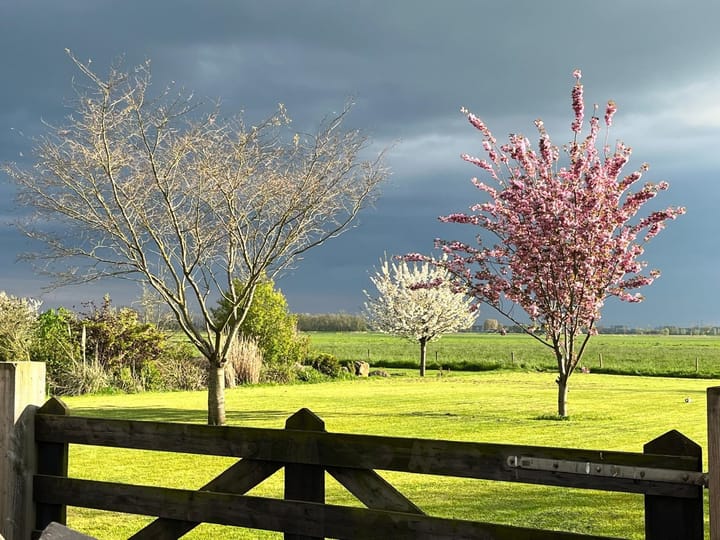 Foto 80 van Homoetsestraat 33