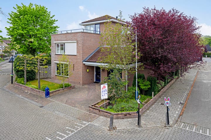 Photo 9 of Juttepeer 13