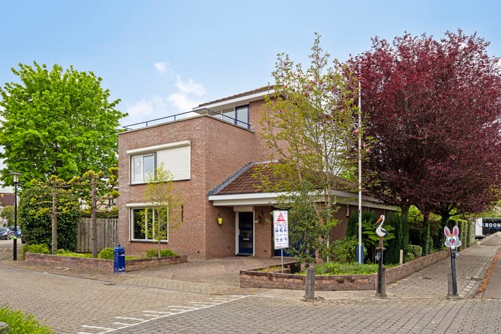 Photo 10 of Juttepeer 13