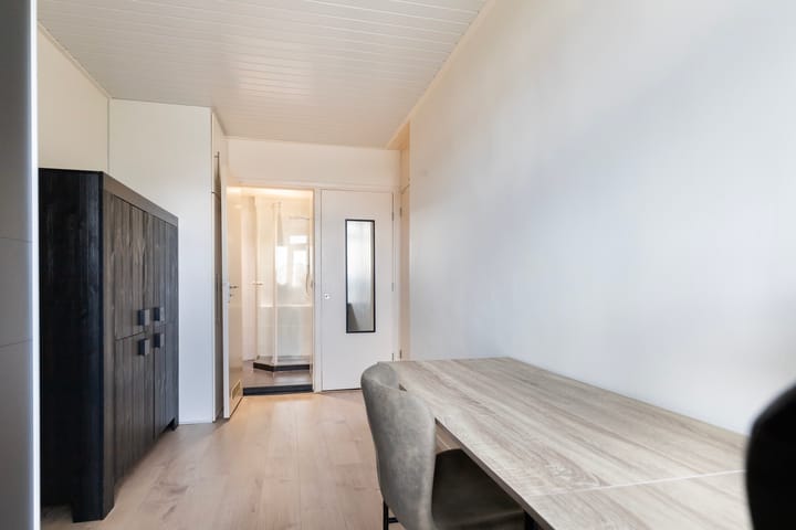 Photo 23 of Van Houtenstraat 48