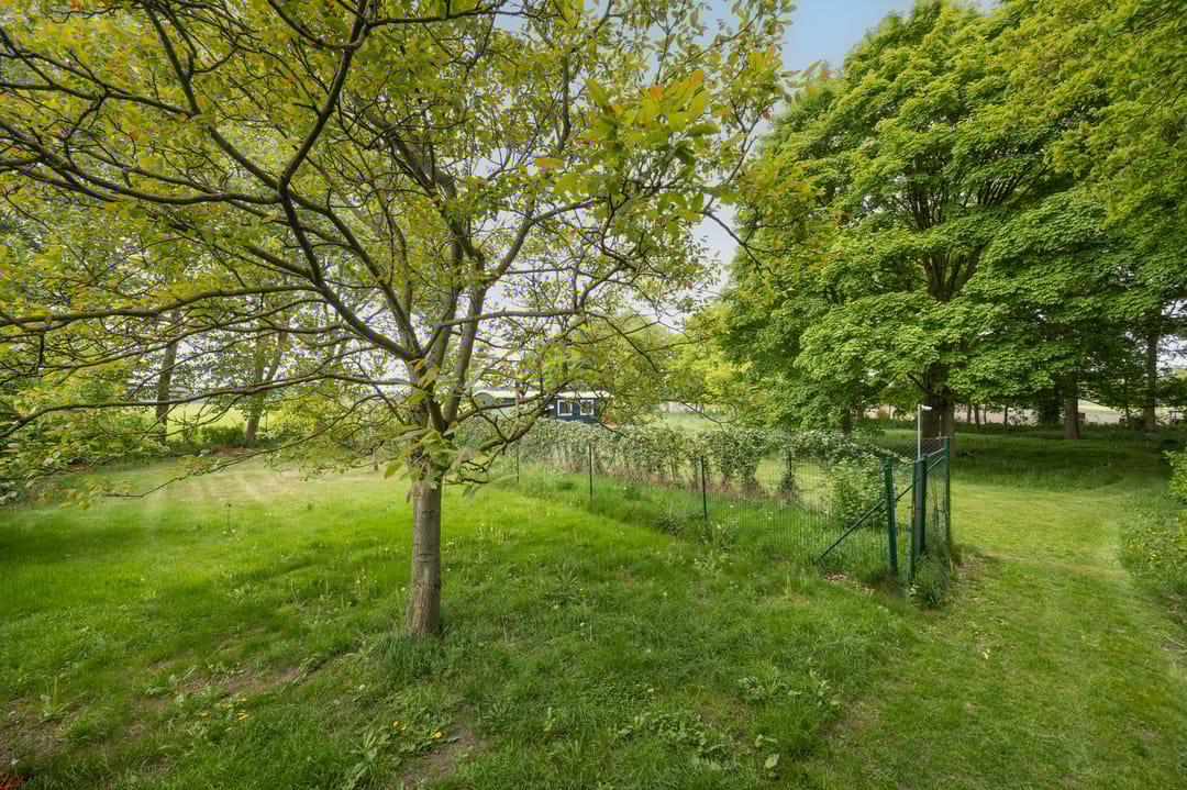 Foto 47 van Rijsbergseweg 85