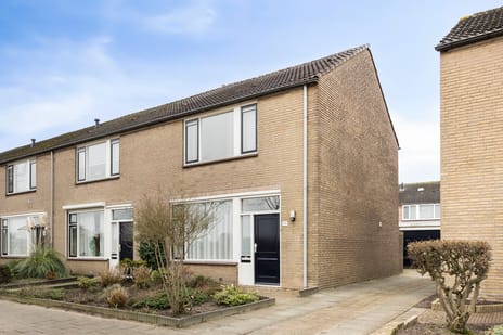 undefined main image