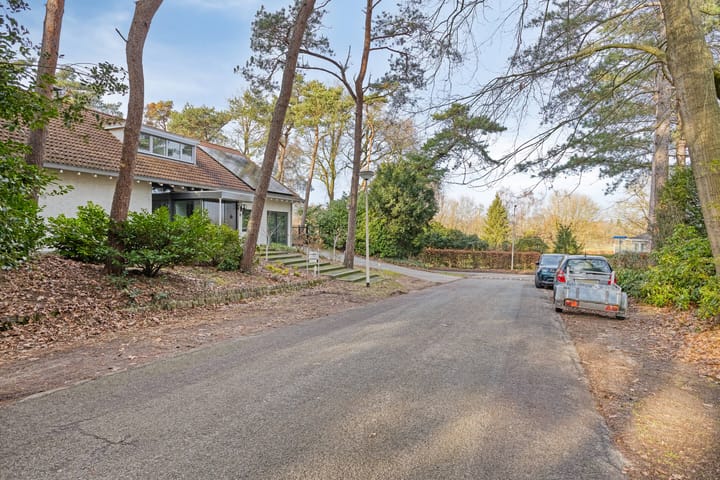 Foto 3 van Daansbergen 8