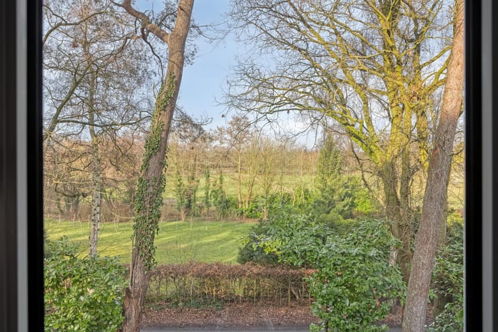 Foto 48 van Daansbergen 8