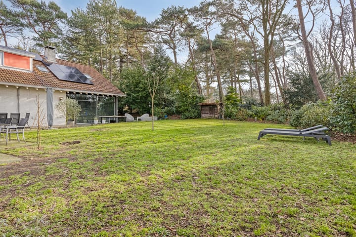 Foto 59 van Daansbergen 8