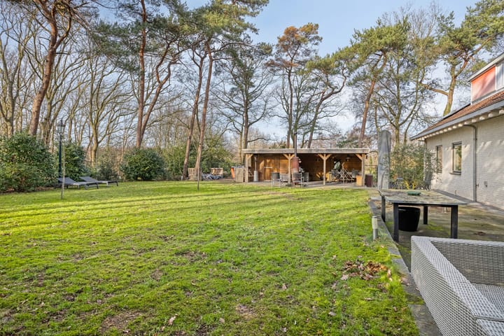 Foto 62 van Daansbergen 8