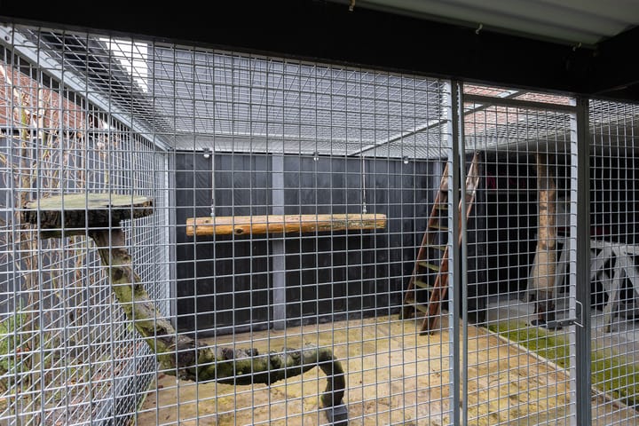 Photo 47 of Schoolstraat 8