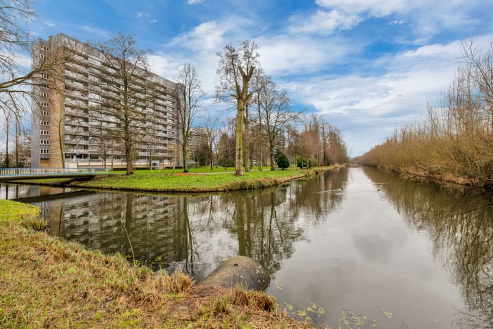 Foto 34 van Griegplein 82