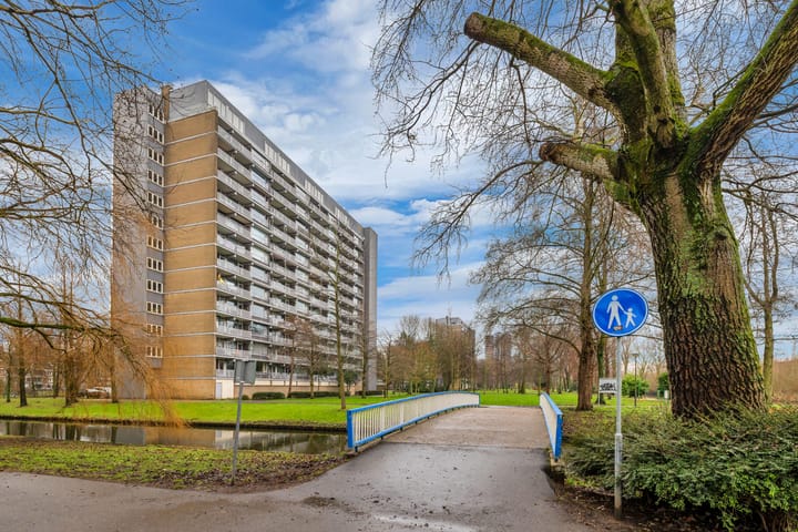 Foto 35 van Griegplein 82