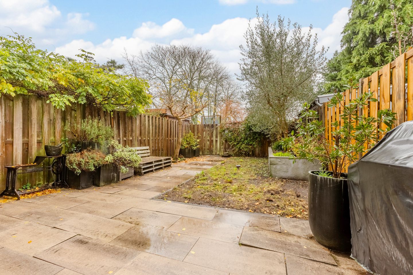 Photo 14 of Oudaen 15