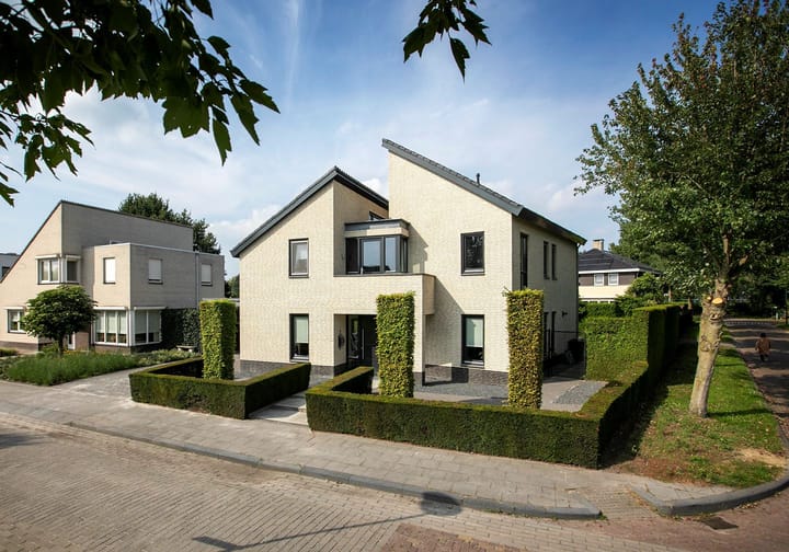 Foto 2 van Windwijzer 2