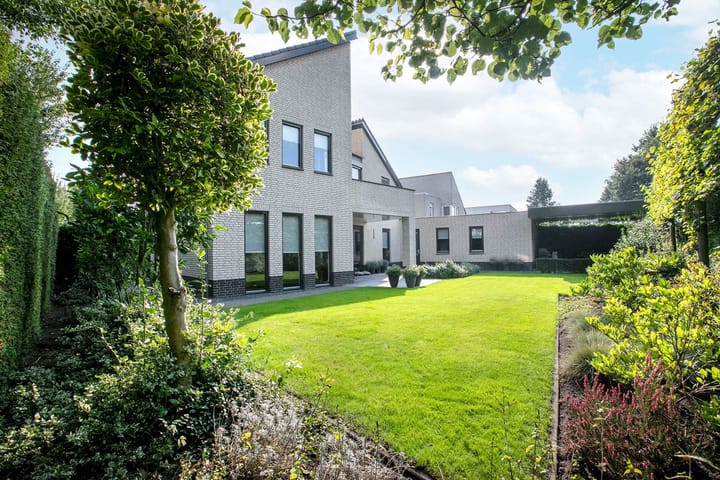 Foto 40 van Windwijzer 2