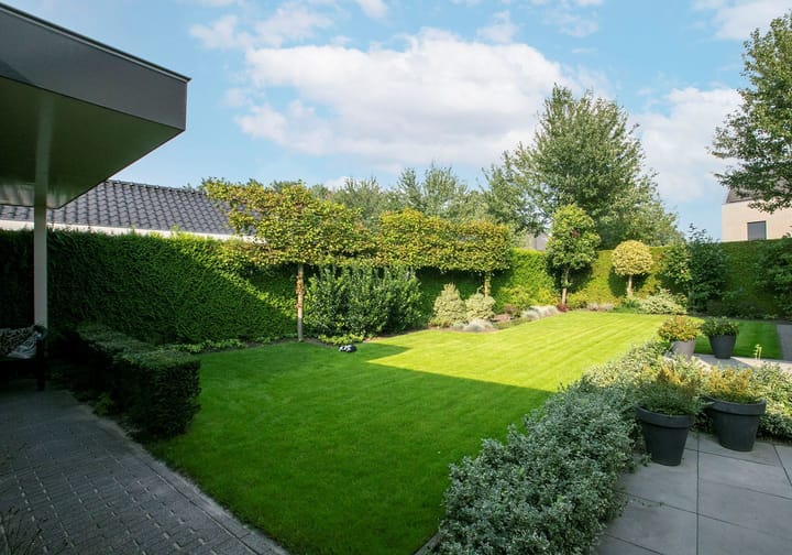 Foto 43 van Windwijzer 2