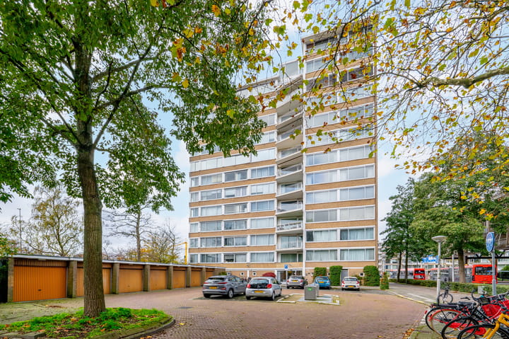 Foto 24 van Meander 65