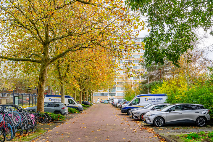 Foto 27 van Meander 65