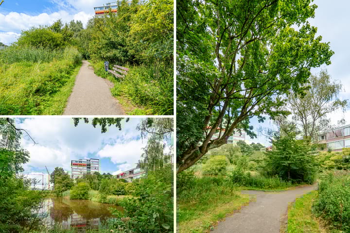 Foto 28 van Meander 65