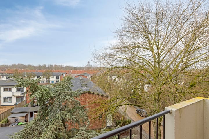 Foto 15 van Nassaulaan 61