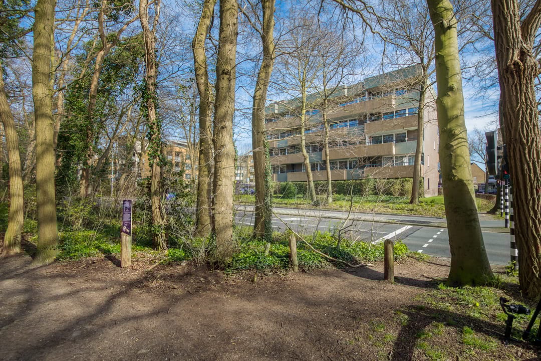 Foto 31 van Vaartweg 190-27